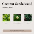 thumbnail image 4 of Perfume Roll On BROKEN TOP Coco & Sándalo 10ml Vegano, 4 of 6