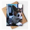 thumbnail image 1 of corgi Cartes de Vœux Chien animal de Compagnie Image Vous Tes Invités invitations, 1 of 3