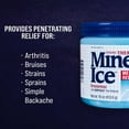 thumbnail image 6 of (4 pack) Mineral Ice 16 oz., 6 of 11