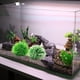 thumbnail image 5 of Nuevo diseño de paisajismo para peceras, decoraciones de plástico para peceras, bolas de flores artificiales y pajares., 5 of 5