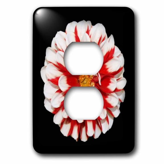 3dRose, Christmas Flower, 2 plug outlet cover