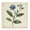 Vintage Blue Blossoms Wildflower, variant on Stupell Industries French Country Vintage Blue Blossoms Wildflower Black Floating Frame Canvas Art, 18 x 18, by Petals Prints Design