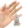 thumbnail image 1 of Cute Dog Shape Pet Hair Storage Keychain, Transparent Capsule Container for Cat Dog Fur Memorial, Unique Pet Keepsake Charm for Collars, Backpacks & Keys - 5.43 Inch, 1 of 8