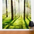 thumbnail image 2 of ADZif Fresk Divine Light Wall Mural, 2 of 5