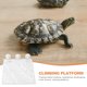 thumbnail image 3 of IFANLANDOR 1Ud Plataforma Para Reptiles De PP Con Ventosa Para Bañarse Y Trepar De Color, 3 of 8