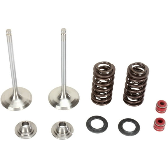 Moose Racing Stainless Exhaust Valve & Spring Kit (M80-80960)