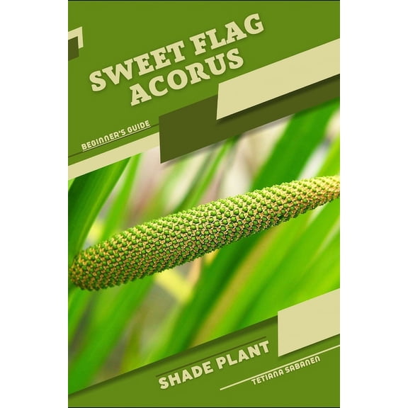 Sweet Flag Acorus: Shade plant Beginner's Guide, (Paperback)
