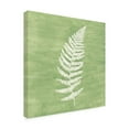 thumbnail image 2 of Vanna Lam 'Forest Ferns III' Canvas Art, 2 of 3
