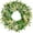 22inch, variant on Artificial Spring Summer Christmas Greenery Wreaths for Front Door Green Eucalyptus Leaf Wreath Decor Boxwood with Big Berries for Farmhouse Outside Year Round