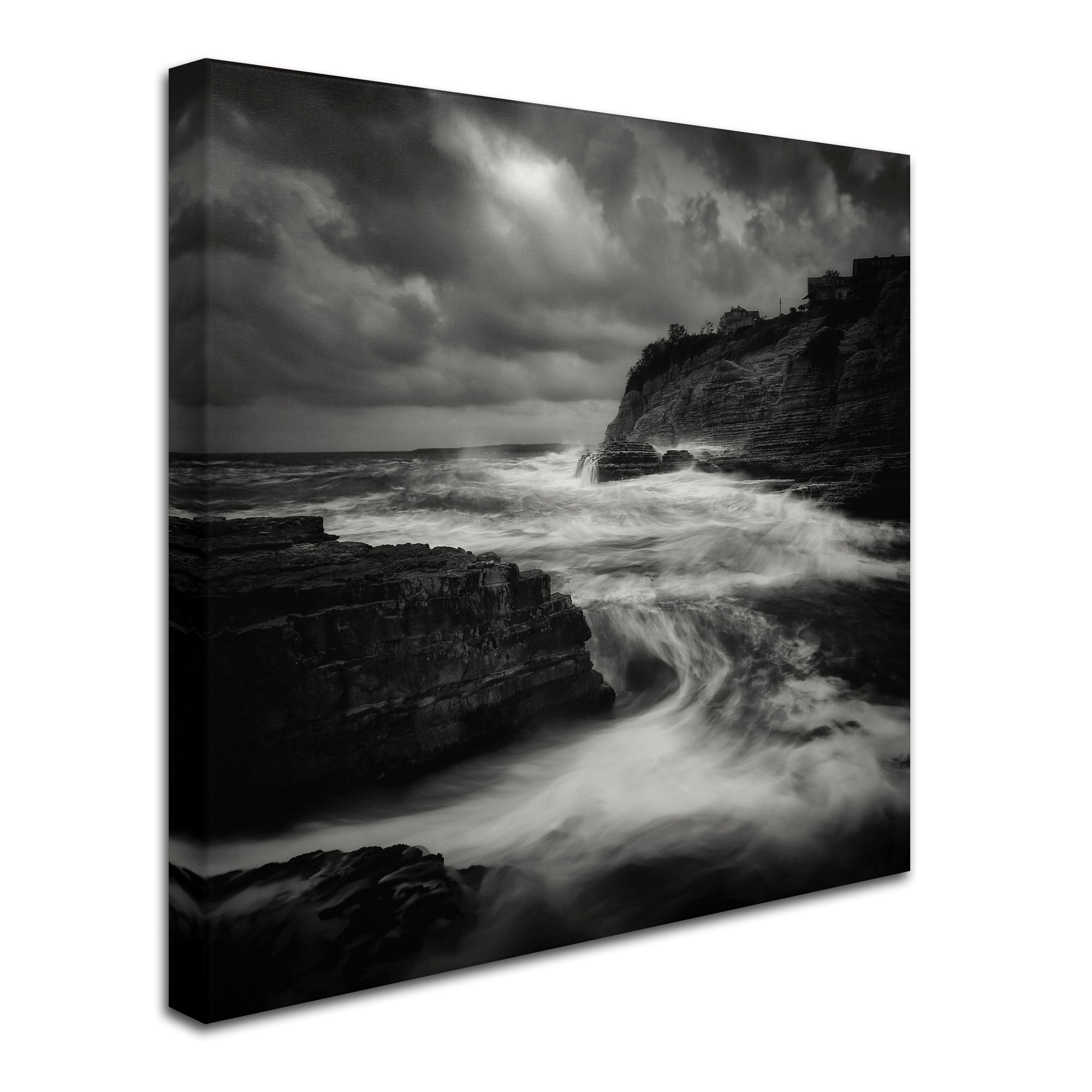 Yucel Basoglu 'Storm' Canvas Art