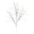 thumbnail image 1 of Vickerman QG164238 Spray de Paillettes de Baies de Champagne - 35 Po - 6 par Sac, 1 of 3