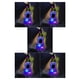thumbnail image 3 of Luces LED sombrero brillante Cateissary decoración de fiesta de Navidad y Halloween, 3 of 6