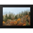 thumbnail image 2 of Burt, D. 18x13 Black Modern Framed Museum Art Print Titled - Autumn Mountain, 2 of 5