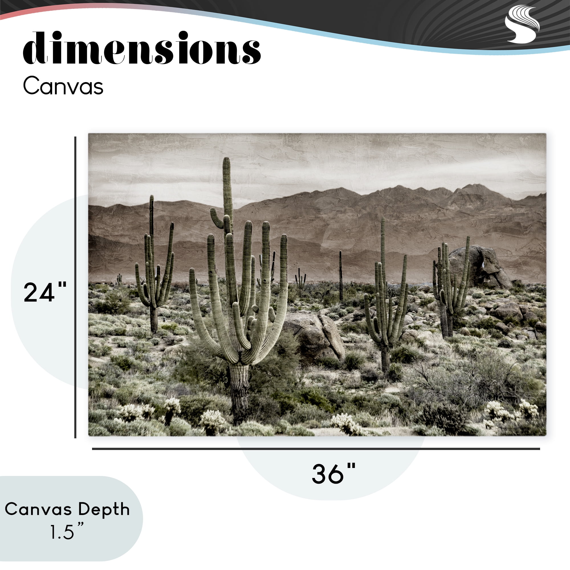 Stupell Industries Desert Land Cacti Wilderness Canvas Wall Art, design by Kim Allen