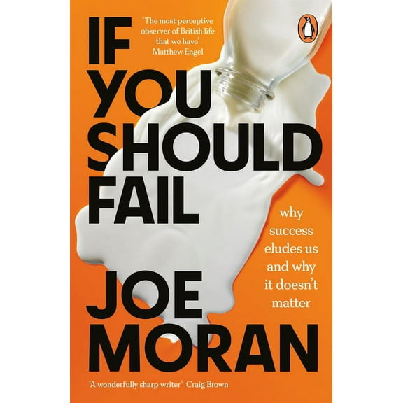 If You Should Fail: Why Success Eludes Us and Why It Doesn't Matter, (Paperback)
