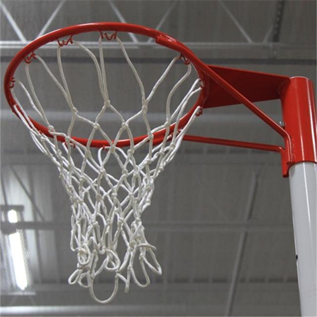 But Netball de 15 Po pour le Système de Poteaux en Acier