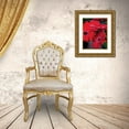 thumbnail image 3 of Berzel, Erin 20x24 Gold Ornate Wood Framed with Double Matting Museum Art Print Titled - Red Gerbera Daisies I, 3 of 4