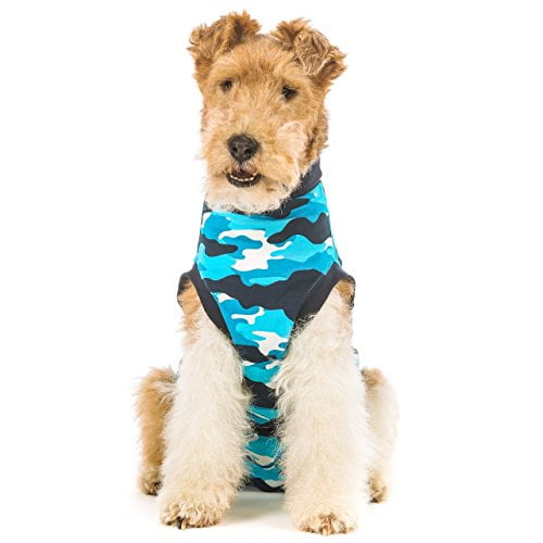 suitical recovery suit for dogs near me