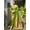 Mehendi, variant on Traditional Paithani Silk Saree With Meenakari Pallu And Zari Border – Yellow
