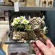 thumbnail image 3 of Maceta Flowerpot Creative Highland de resina de vaca para plantas con forma de animal, 3 of 3