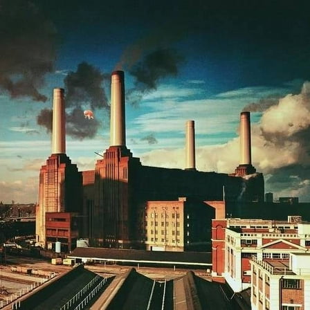 Pink Floyd - Animals - Music & Performance - Vinyl