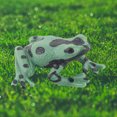 thumbnail image 5 of Kripyery Ornament Model Animal Shape Gift Resin Cartoon Frog Ornament DIY Crafts for Shop, 5 of 8