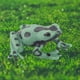 thumbnail image 5 of Gwong Juguete Adorno Modelo Modelo Forma Animal Regalo Resina Dibujos animados Ornamento Frog DIY Artesanías Para Tienda Gwong 30011020, 5 of 6