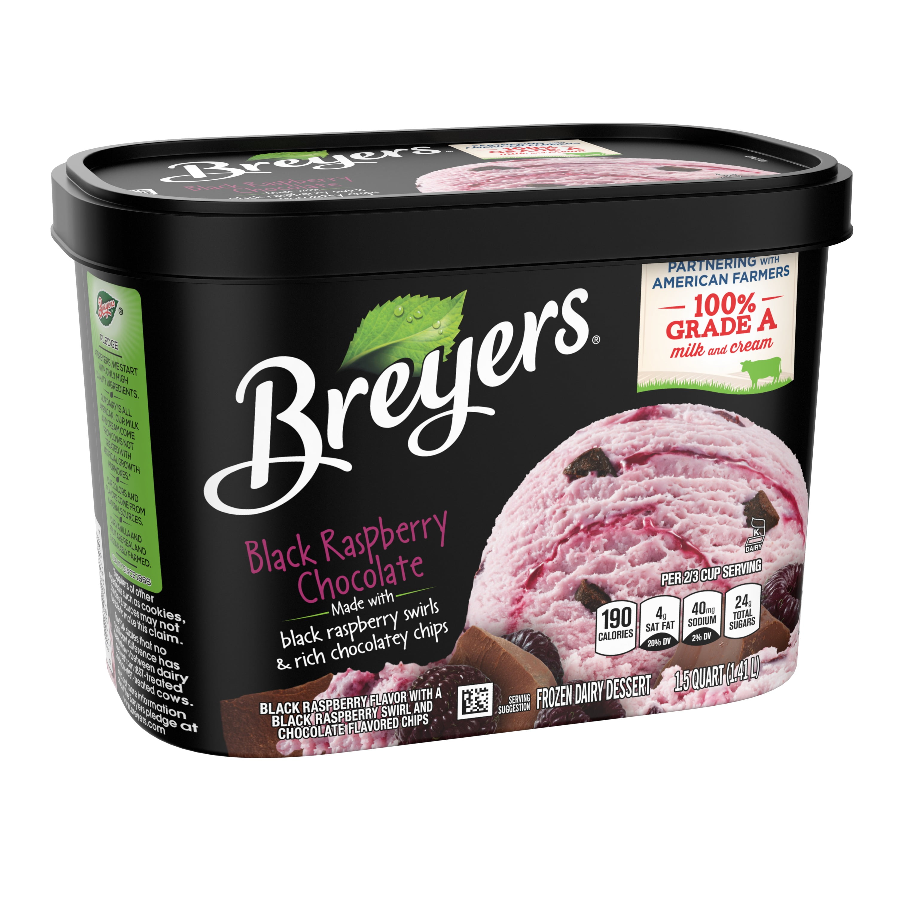 Breyers Black Raspberry Ice Cream Raspberry