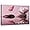 Red, variant on ZHONGYUTONG Zen Wall Art Canvas Lotus Flower and Pink Butterfly Pictures Spa Stones Painting Meditation Spiritual Bathroom Wall Decor Framed (12.00" x 18.00")