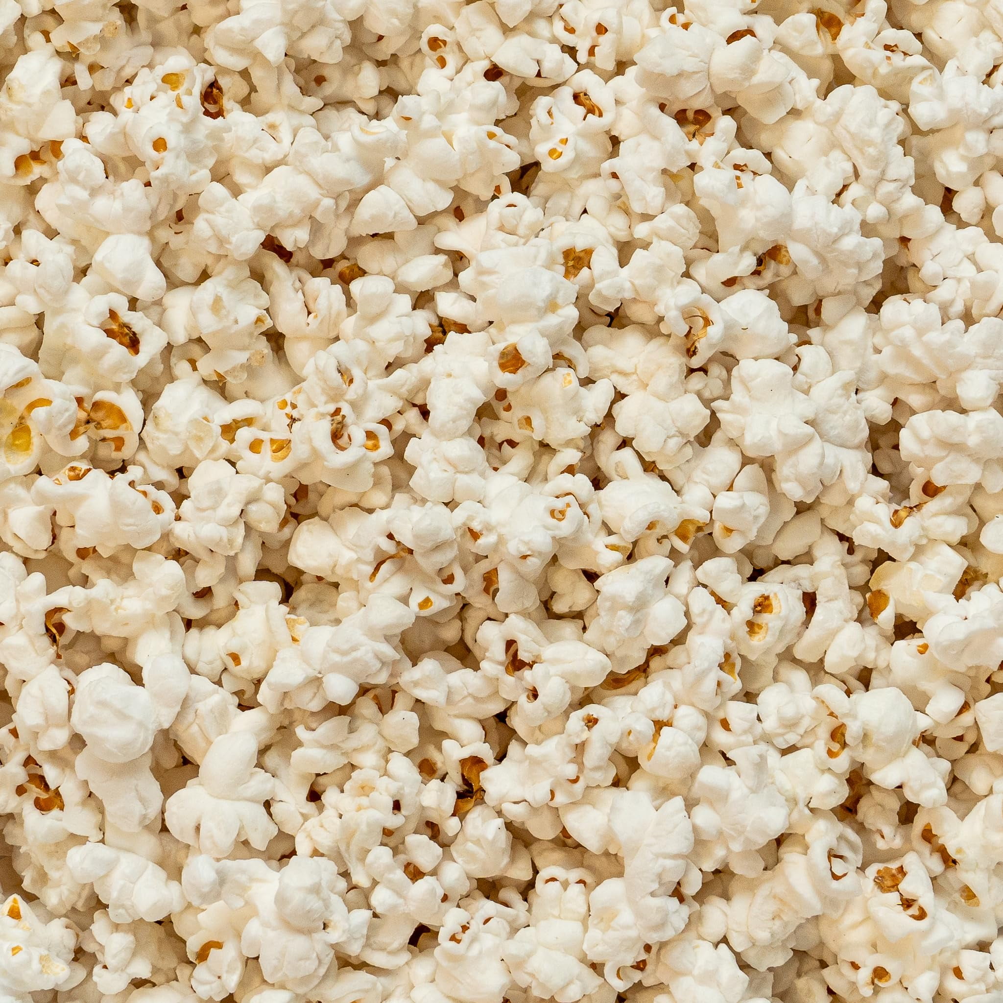 (3 pack) Colby Ridge Fluffy White Half Salt Gourmet Craft Popped Gluten Free Popcorn Snack Sized Large Pouch (2 Gallons = 34 Cups)