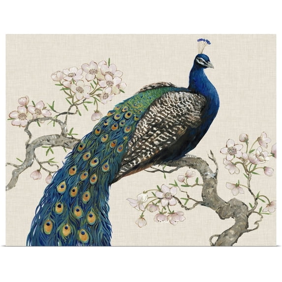Great BIG Canvas | "Peacock and Blossoms I" Art Print - 30x24