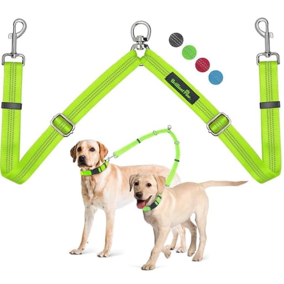Correa doble para perro Brilliant Paw, longitud ajustable, color verde