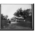 thumbnail image 2 of Historic Framed Print, Golf at Manhansett [i.e. Manhanset House], Shelter Island, N.Y. - 2, 17-7/8" x 21-7/8", 2 of 9