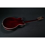 Gretsch G5422G-12 Electromatic Classic Hollow Body Double-Cut 12-String with Gold Hardware Walnut Stain 2516319517