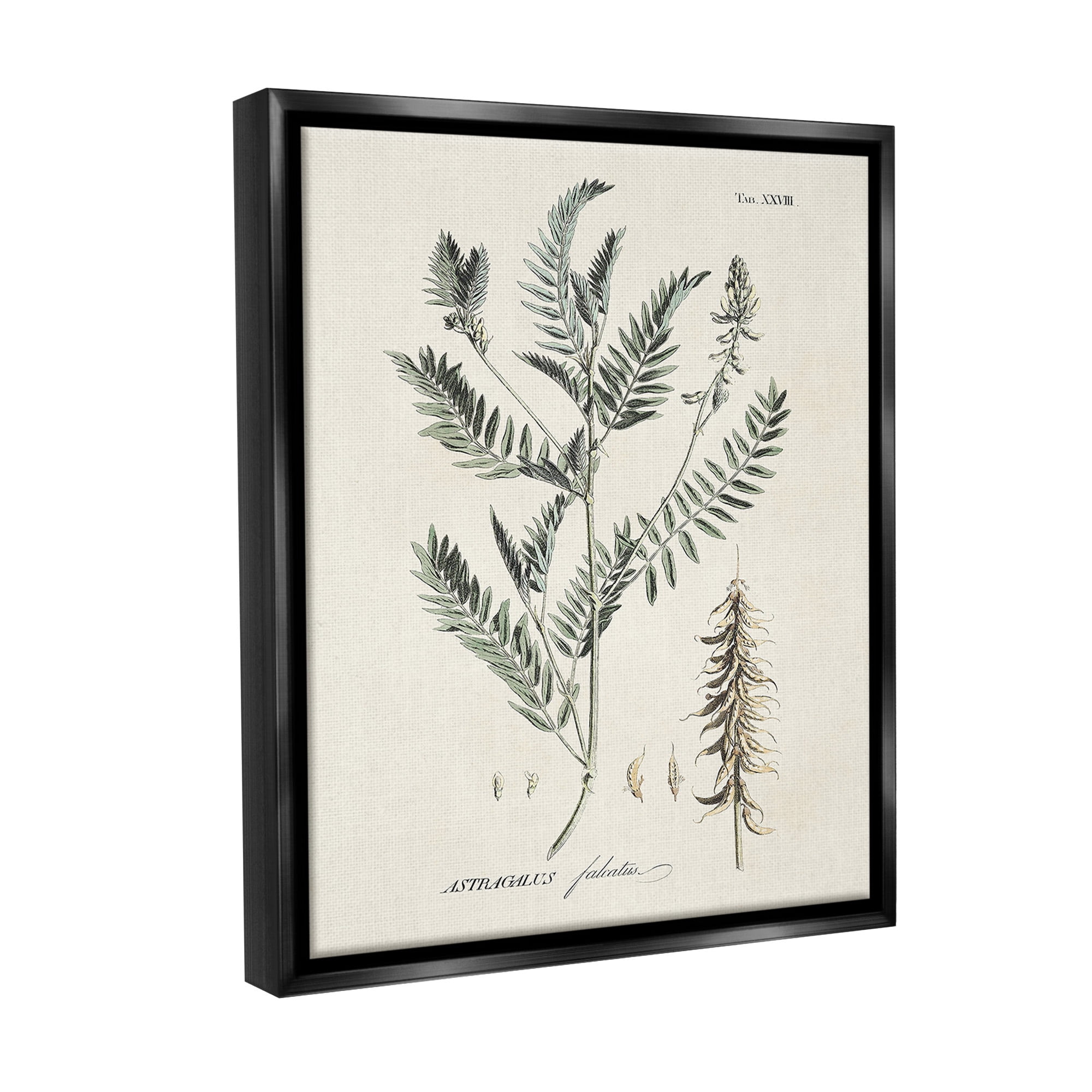 Stupell Industries Woodland Leaf Study Botanical & Floral Painting Black Floater Framed Canvas Art Print Wall Art, 25 x 31