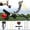 Package B, variant on Piaoyu Folding Wrist Slingshot for Hunting & Training with Rubber Bands