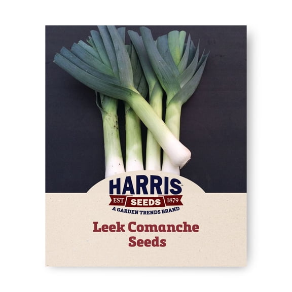 Harris Seeds - Leek Seeds - Comanche Organic Variety - Strong Upright Plants - 50 Seeds