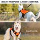 thumbnail image 5 of Arnés táctico para perros WINGOIN naranja para perros grandes XL, 5 of 6