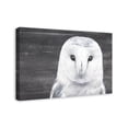 thumbnail image 2 of Creative Products Slate Barn Owl 20x30 Canvas Wall Art, 2 of 5