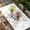 White, variant on Farm Animals Table Cloths for 4 Foot Rectangle Tables, Watercolor Farmhouse Cow Pig Chickens Sheeps Patio Waterproof Elastic Fitted Tablecloths, Washable Rectangular Table Cover for Camping