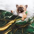 thumbnail image 3 of Yiaed Green Marble Print Dog Blankets-Cat Blanket Washable for Couch Protection,Puppy Blanket, Soft Plush Reversible Throw Furniture Protector-Medium, 3 of 8
