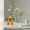 A, variant on Cute Animal Glasses Frame Desktop Decoration for Home Stylish Accessory
