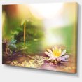 thumbnail image 2 of Lotus Flowers on Green Background - Large Flower Canvas Art Print, 2 of 3