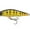 Yellow Perch, variant on Eurotackle 00359 Z-Spender 2" Suspending Jerk Baits 1/8oz Yellow Perch