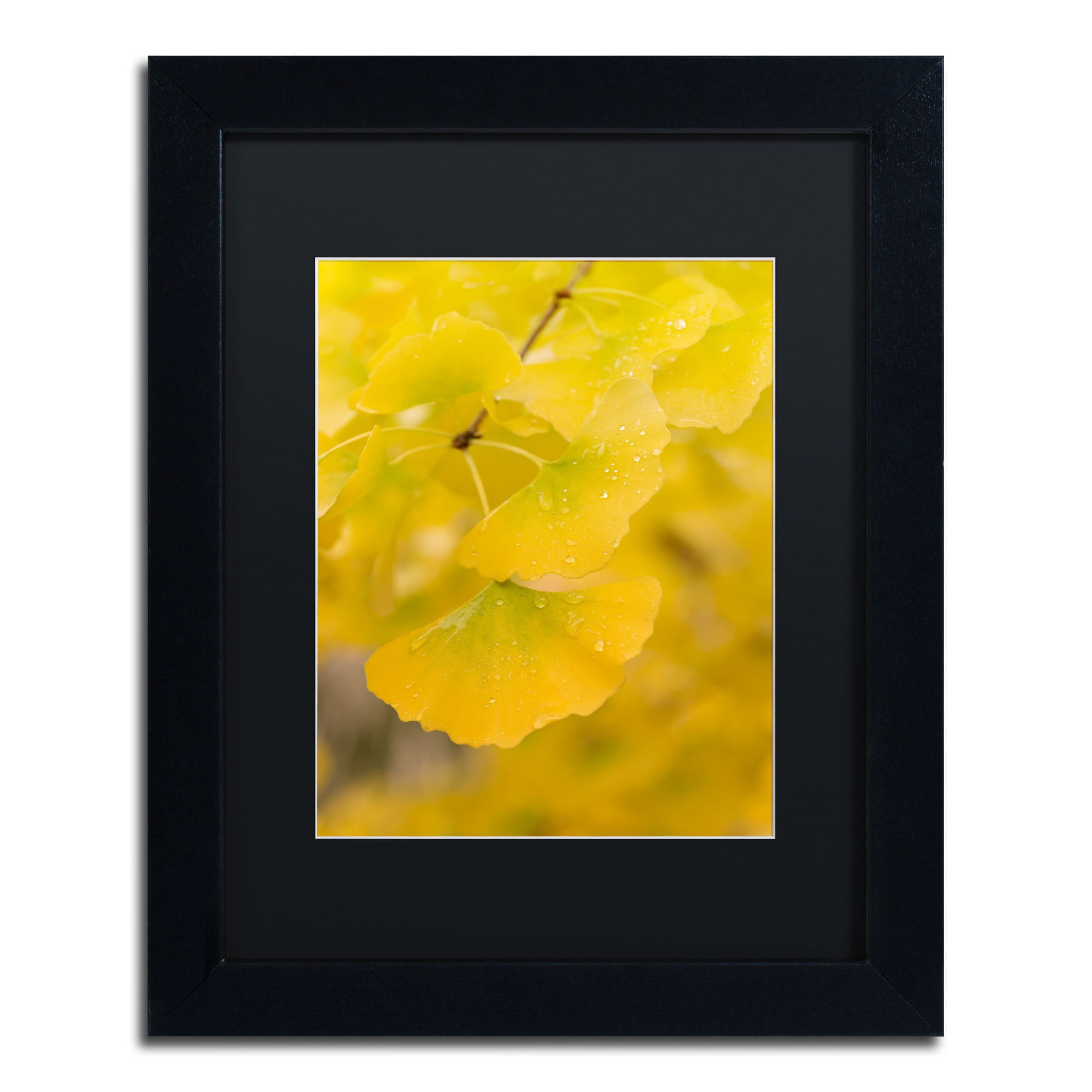 Trademark Fine Art "Millennium" Canvas Art by Philippe Sainte-Laudy Black Matte, Black Frame