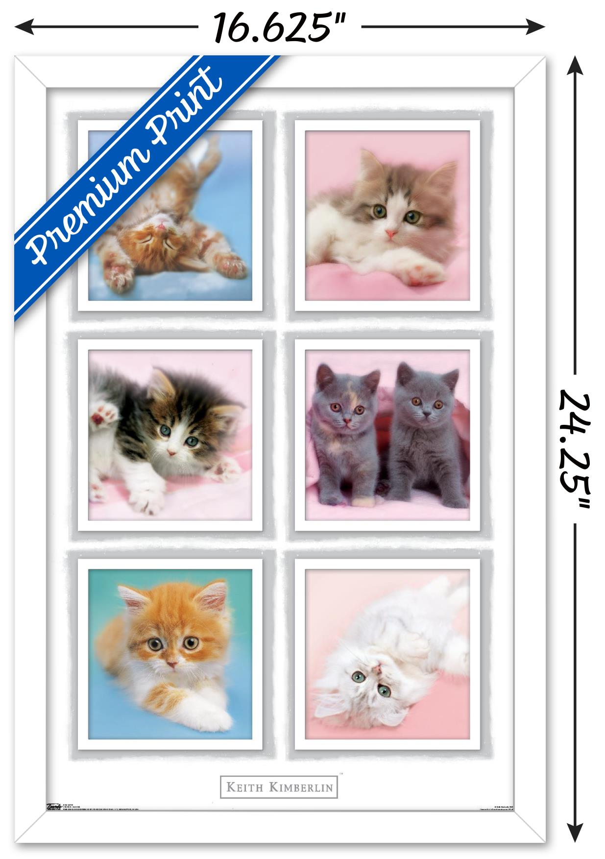 Keith Kimberlin - Kittens Wall Poster, 14.725" x 22.375" Framed