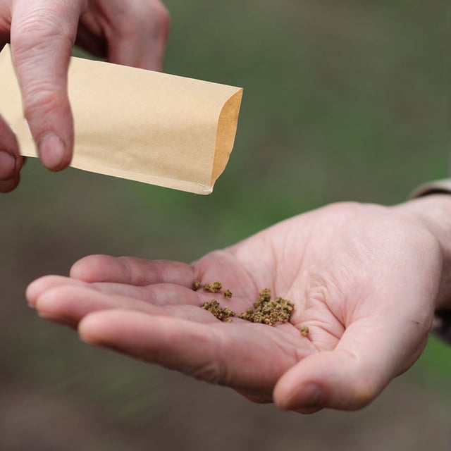 OUNONA 100Pcs Vintage Kraft Paper Seed Envelopes Light Yellow Multi-Functional Garden Bags