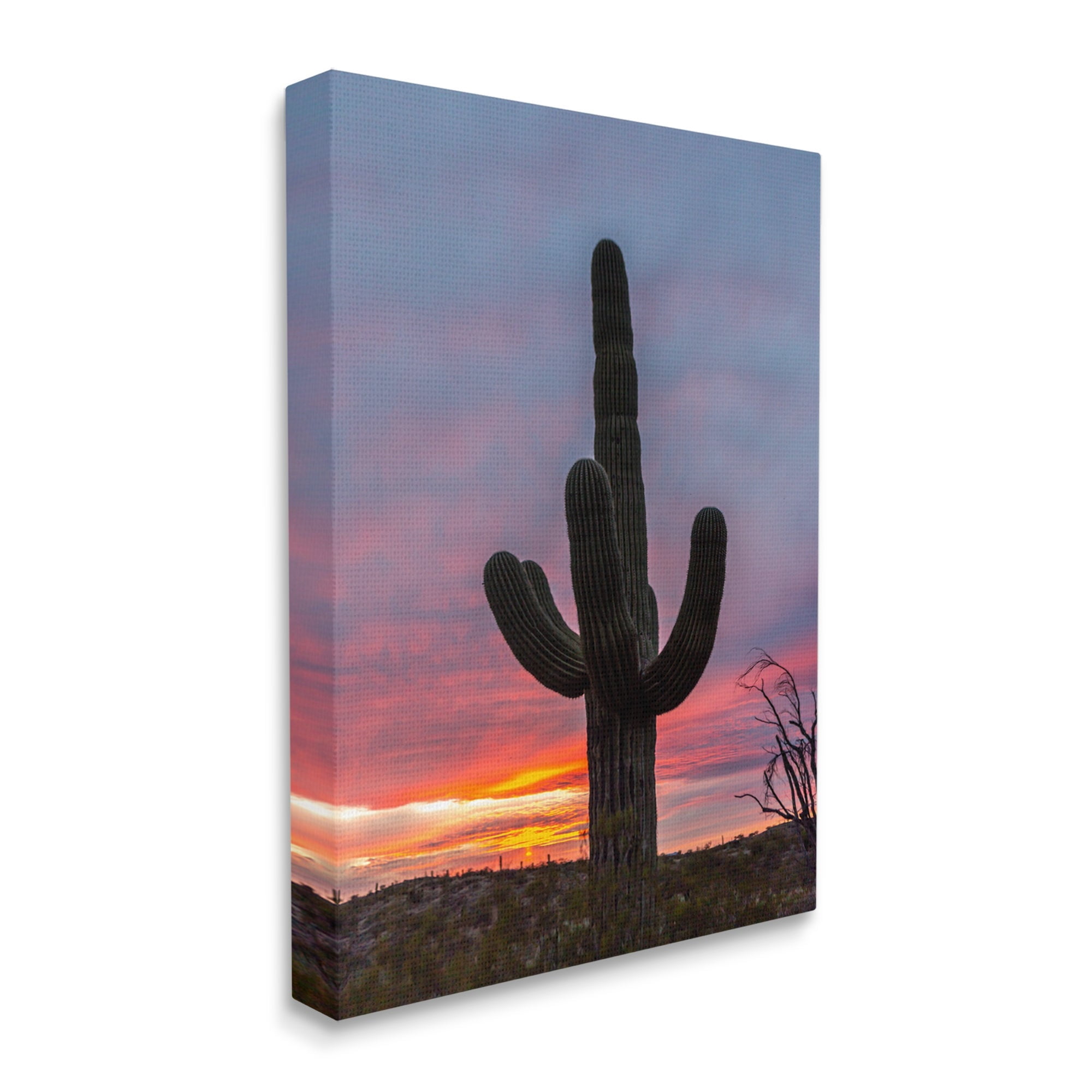 Stupell Industries Desert Cactus Plant Silhouette Radiant Sunset Sky Photograph Gallery Wrapped Canvas Print Wall Art, Design by Jeff Poe Photography