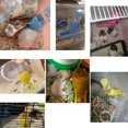 thumbnail image 4 of Botella de agua colgante para hámster en 1, dispensador automático para mascotas con base para hámster enano, ratón, rata, erizo, 4 of 7
