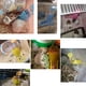 thumbnail image 5 of Botella de agua colgante para hámster 3 en 1, dispensador automático para mascotas con Base para hámster enano, ratón, rata, erizo Adepaton WMZL-581-5, 5 of 8